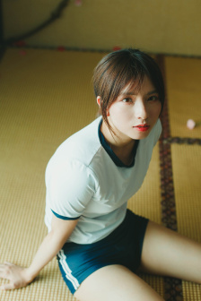紫龙插花芯